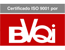 Bureau Veritas logo